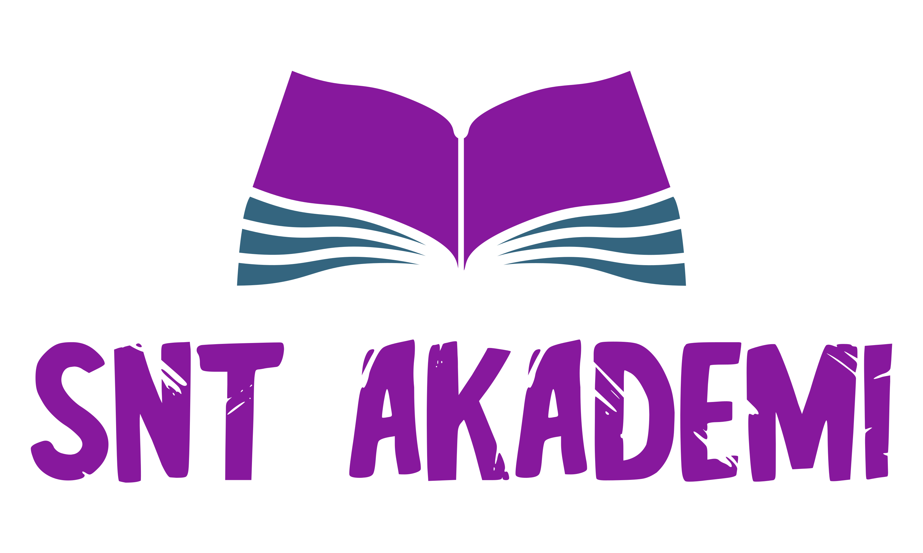 SNT Akademi Yazılım ve Eğitim Teknolojileri A.Ş.
